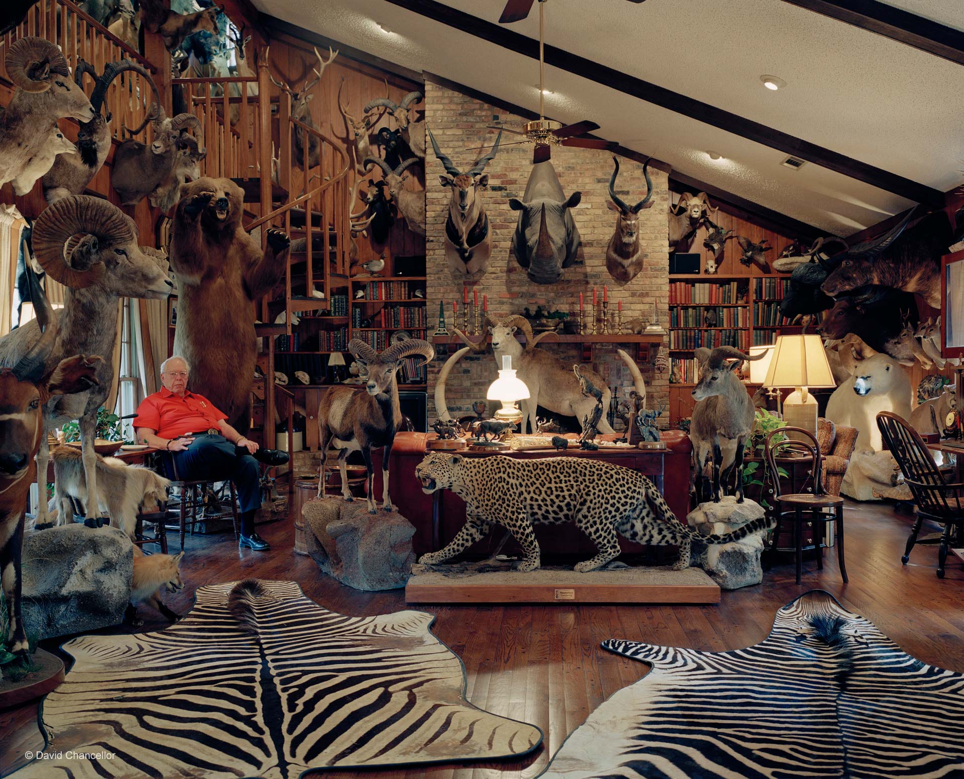 Chanceller Untitled Hunter I Trophy Room Dallas Tx The