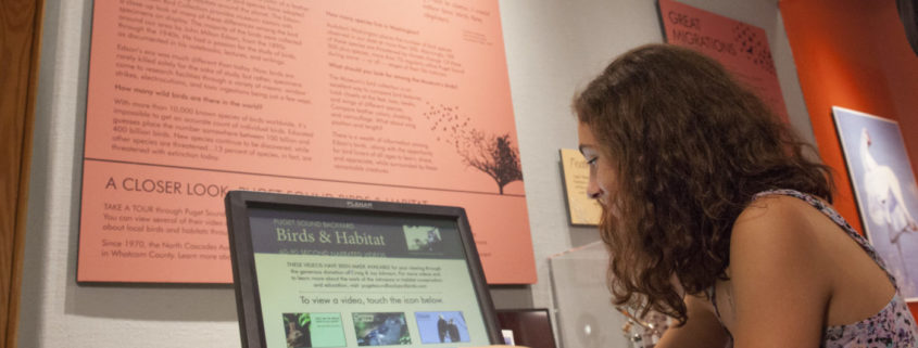 Girl looking at birds on computer screen