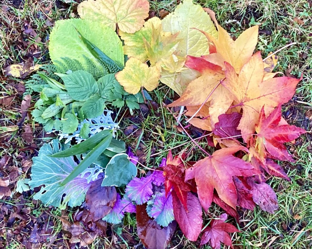 Leaves organized by color in a circle