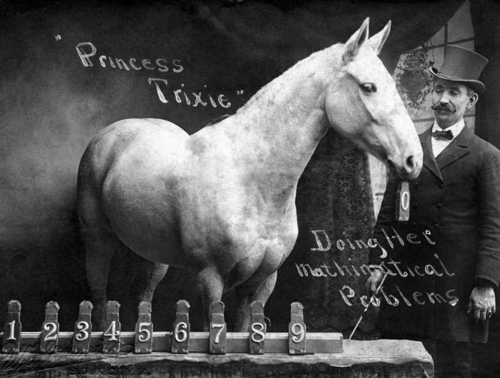 Man in top hat standing next to a white horse