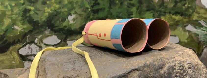 binoculars made out of toilet paper rolls on a rock in front of a painted forest landscape