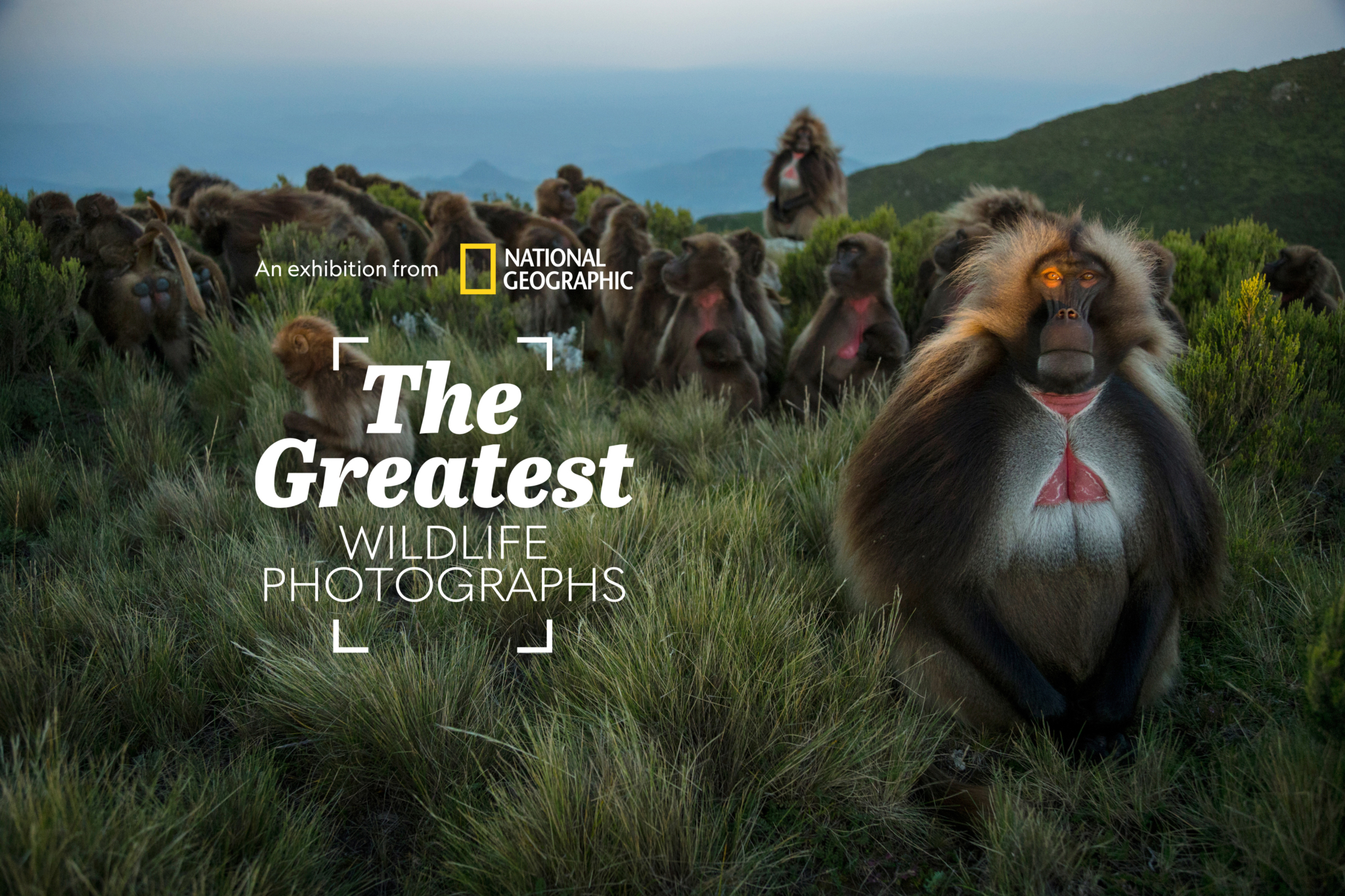 NG-Greatest-Wildlife-Trevor-